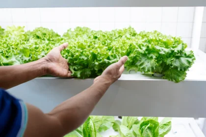 Advantages of Using Aquaponic Systems in Integrated Farming