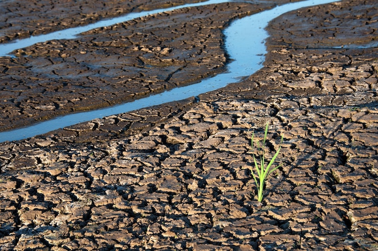 Understanding Weather and Climate Patterns for Effective Farming Decisions