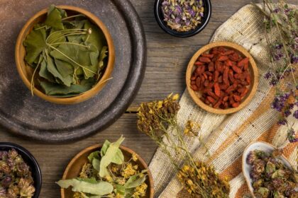 10 South African Indigenous Medicinal Plants You Should Know About And Their Uses