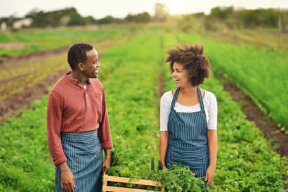 Getting Started In Agriculture: A Guide For New And Aspiring South African Farmers