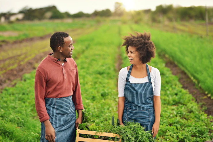 Getting Started In Agriculture: A Guide For New And Aspiring South African Farmers