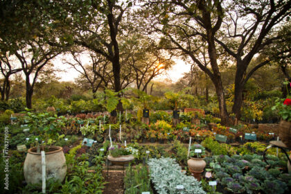 10 Things You Should Know About Permaculture