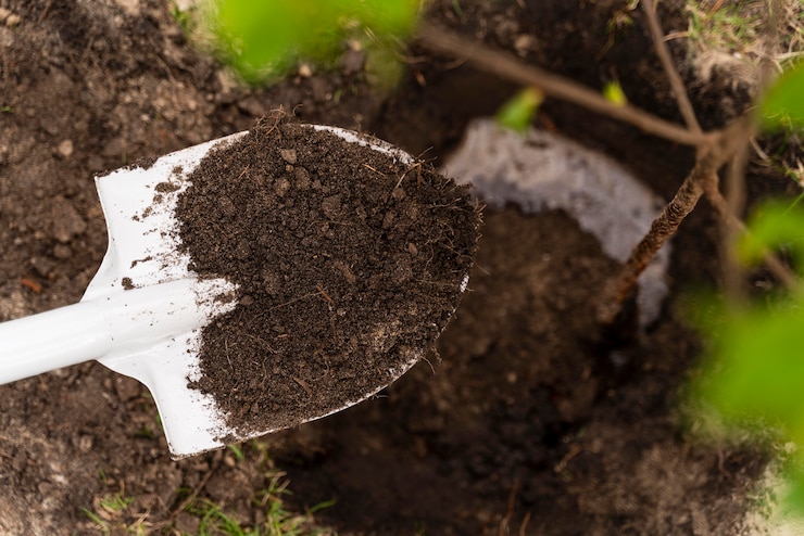 The Role of Crop Rotation in Enhancing Soil Health and Preventing Disease