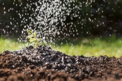 10 Reasons Why Every South Africa Farmer Should Invest In Rainwater Harvesting