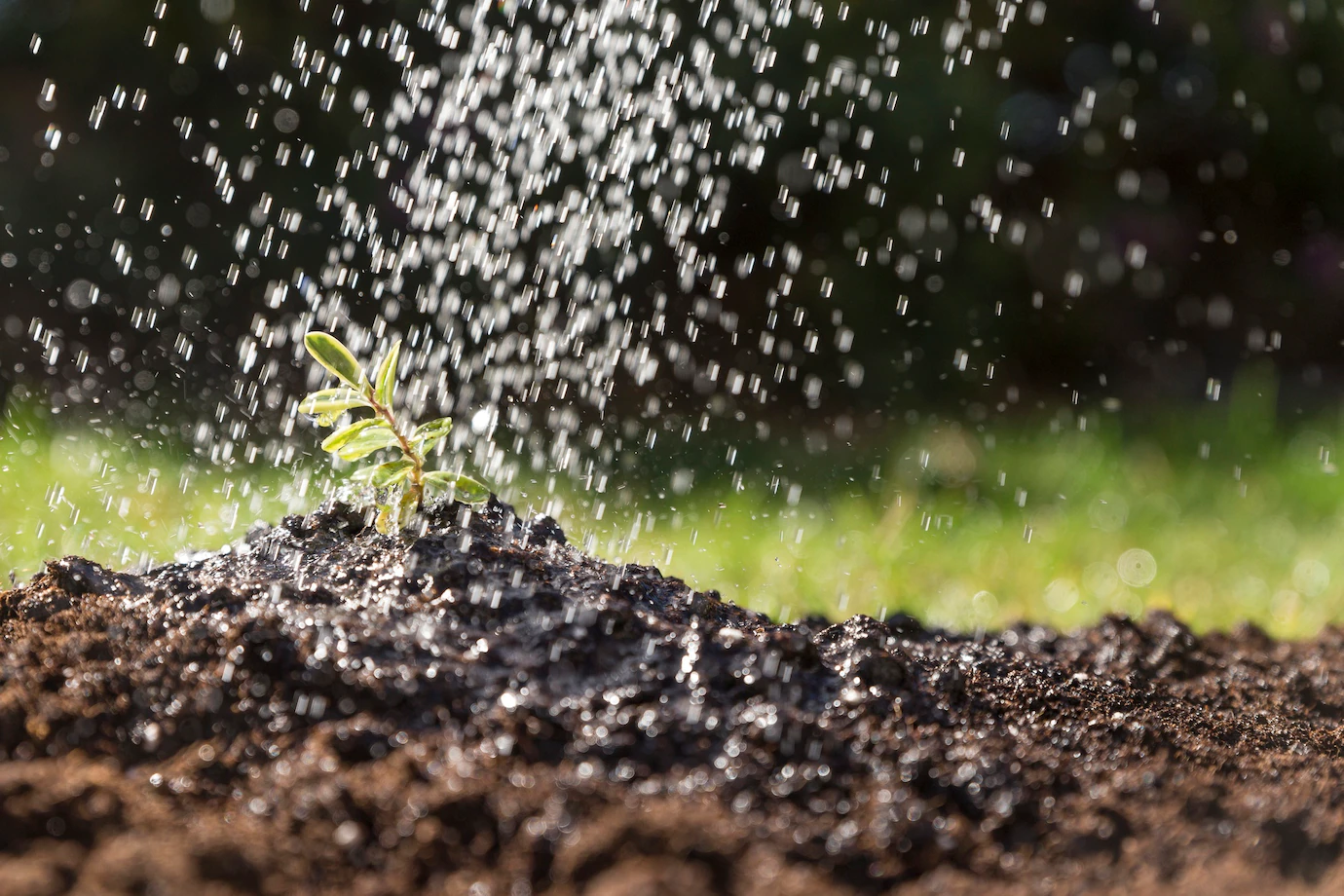 10 Reasons Why Every South Africa Farmer Should Invest In Rainwater