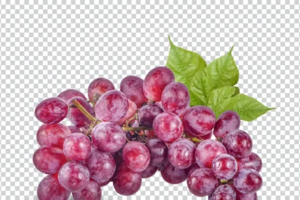 Symptoms Of Downy Mildew You Should Look Out For In Grapes