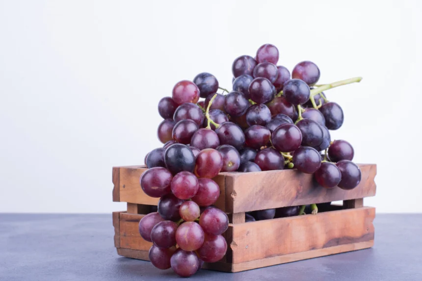 Symptoms Of Powdery Mildew You Should Look Out For In Grapes