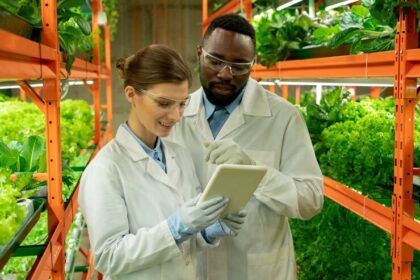 Exploring the Potential of Product Innovation and Diversification in Agroprocessing