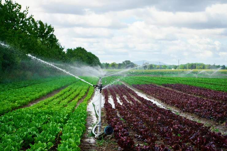 Water Conservation and Efficient Irrigation Practices in South African Agriculture