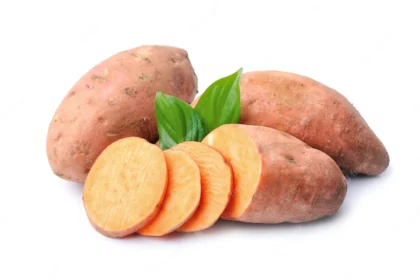 Symptoms Of Southern Blight You Should Look Out For In Sweet Potatoes