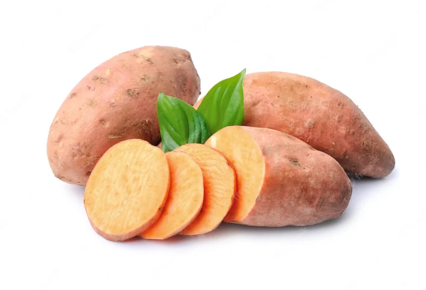 Symptoms Of Southern Blight You Should Look Out For In Sweet Potatoes