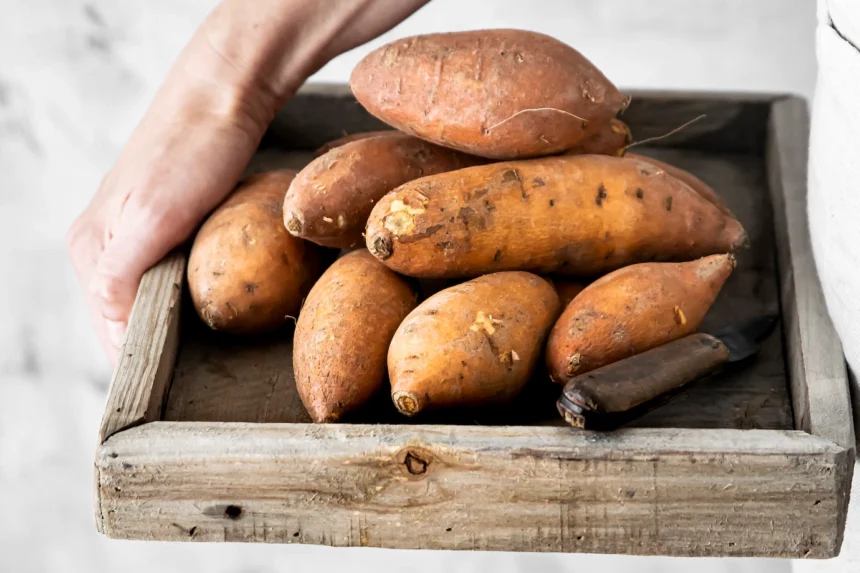 Symptoms Of Fusaruim Wilt You Should Look Out For In Sweet Potatoes