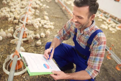 Tips for Developing a Successful Farm Brand and Marketing Strategy