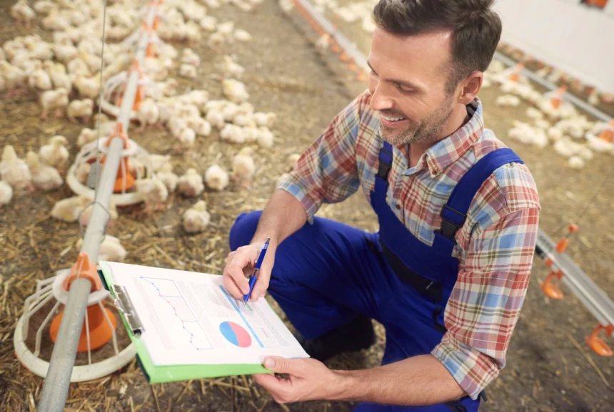 Tips for Developing a Successful Farm Brand and Marketing Strategy