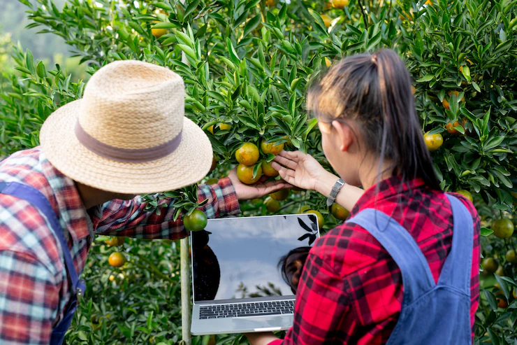 Promoting Agroecological Farming Practices For Food Security Farmers 