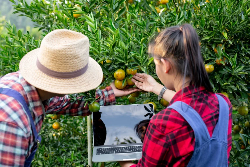 Introduction to Permaculture and its Applications in South African Agriculture