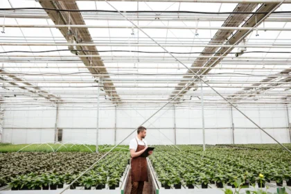 the Role of Greenhouse Automation Systems in Controlled Environment Agriculture