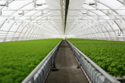 Exploring The Potential Of Vertical Farming And Indoor Agriculture In South Africa