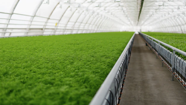 Benefits of Using Greenhouse Technology in Agriculture