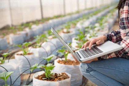 10 Things you should know about a Seed Technologist job