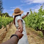 abattoir business plan south africa