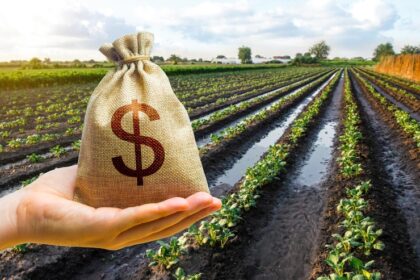 Funding For South African Farmers In 2023 