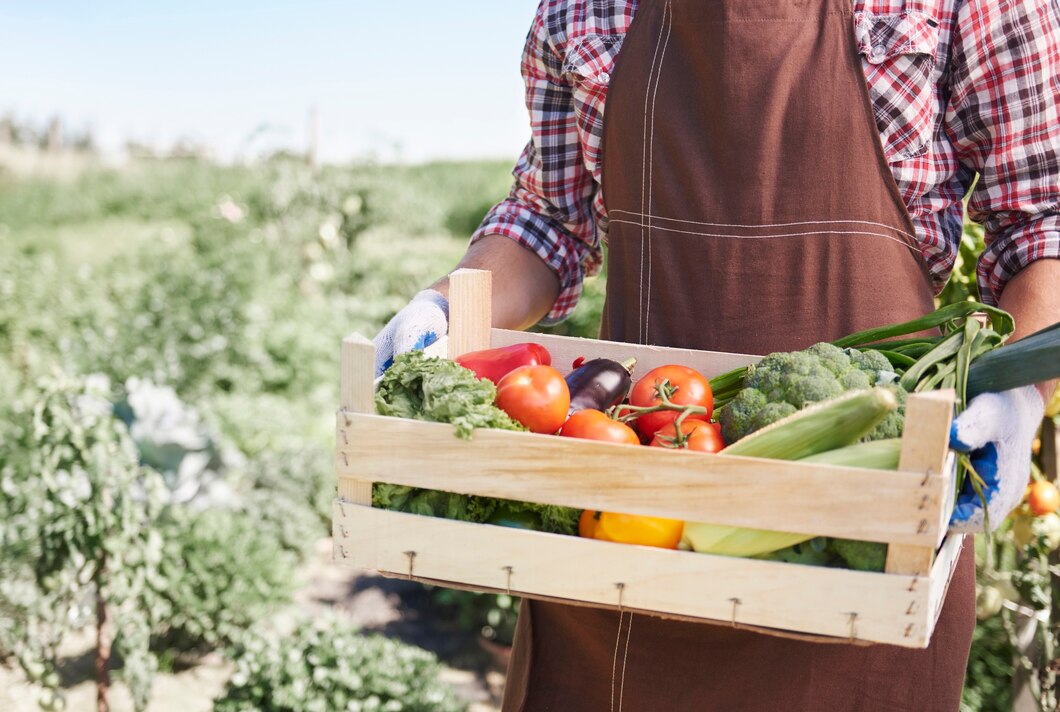 Harvesting Made Easy: Top Techniques for South African Farmers ...