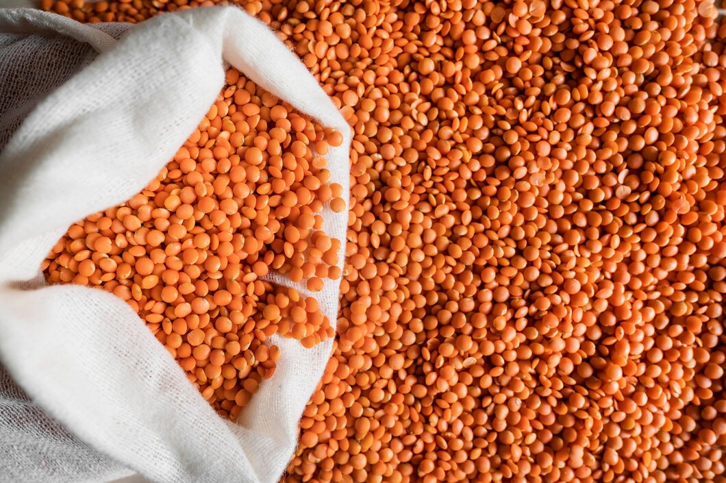 Lantis Seed Top Lentil Seed Suppliers in South Africa: Where to Source High-Quality ...